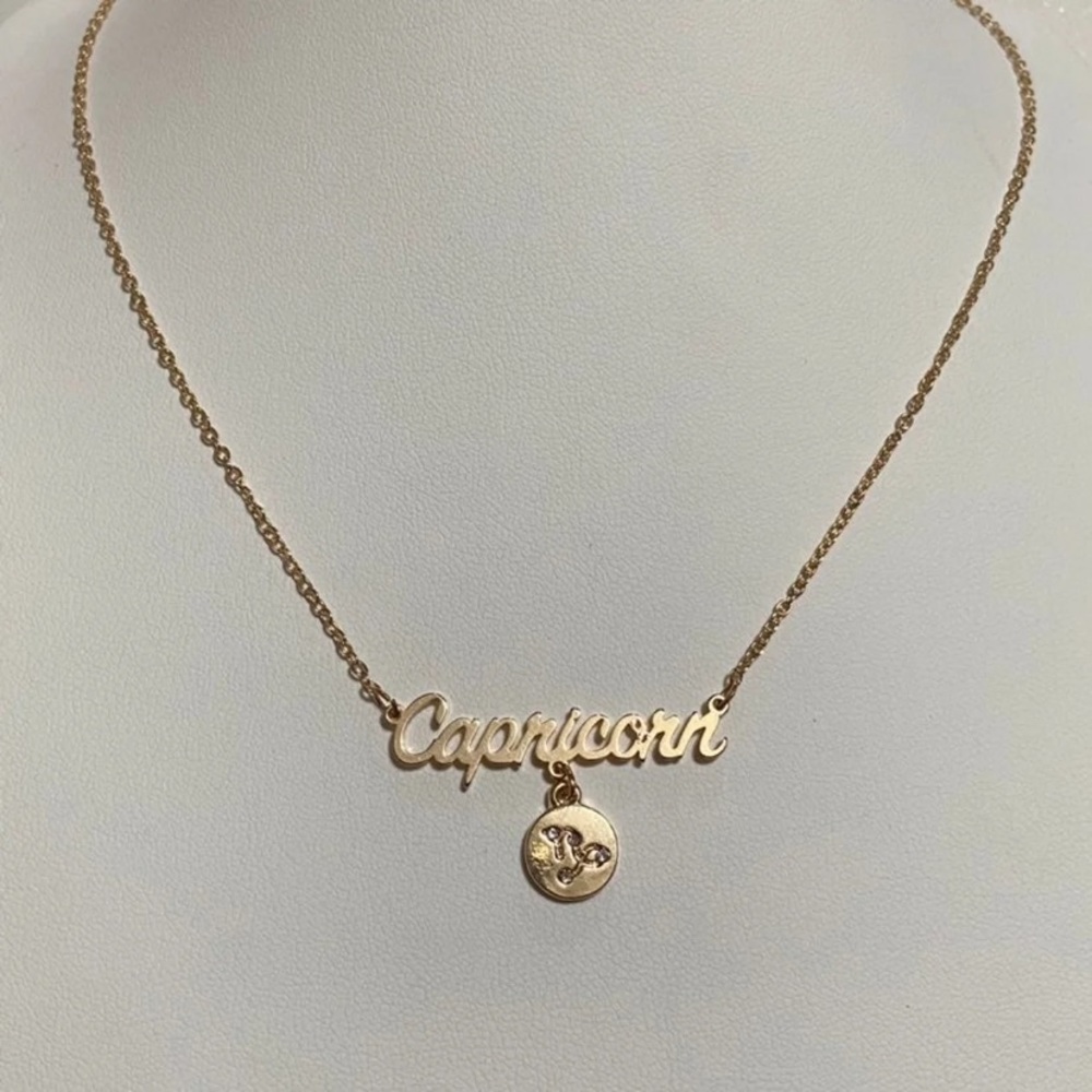 Capricorn Zodiac Necklace